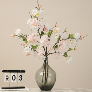 �羳���N�����֦�ѻ�֦�һ� ���P�����b�ˇ�[������ѻ�֦