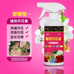 八人の老人の花の花の花の花の専用はすぐに栄養液の三角梅を噴き出して花の爆花の家庭の植物を促します。