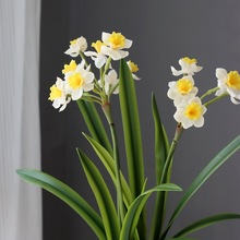 ���滨�ָ�ܛ�z������ˮ�ɼٻ��߶˼Ҿ��b͏d���Բ廨����