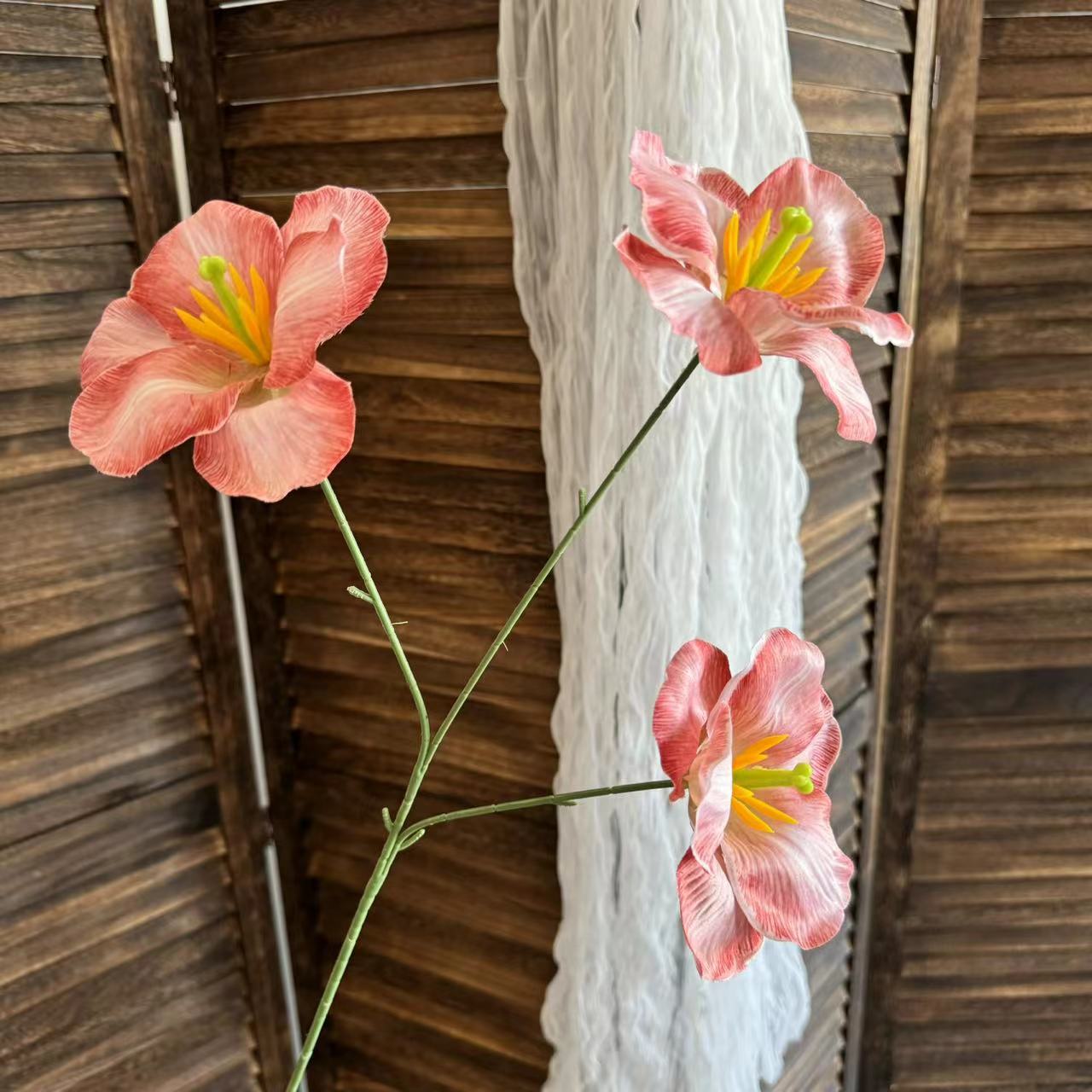 오렌지 다크 브라운