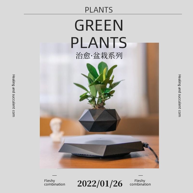 磁気浮上鉢植えの新奇特な植木鉢創意盆栽工芸品プレゼント教師の日プレゼント客間置物卸売り|undefined