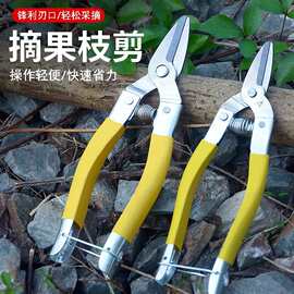 罗定果剪强力修枝剪刀桔子葡萄剪修花稀果剪园艺嫁接采水果摘果剪