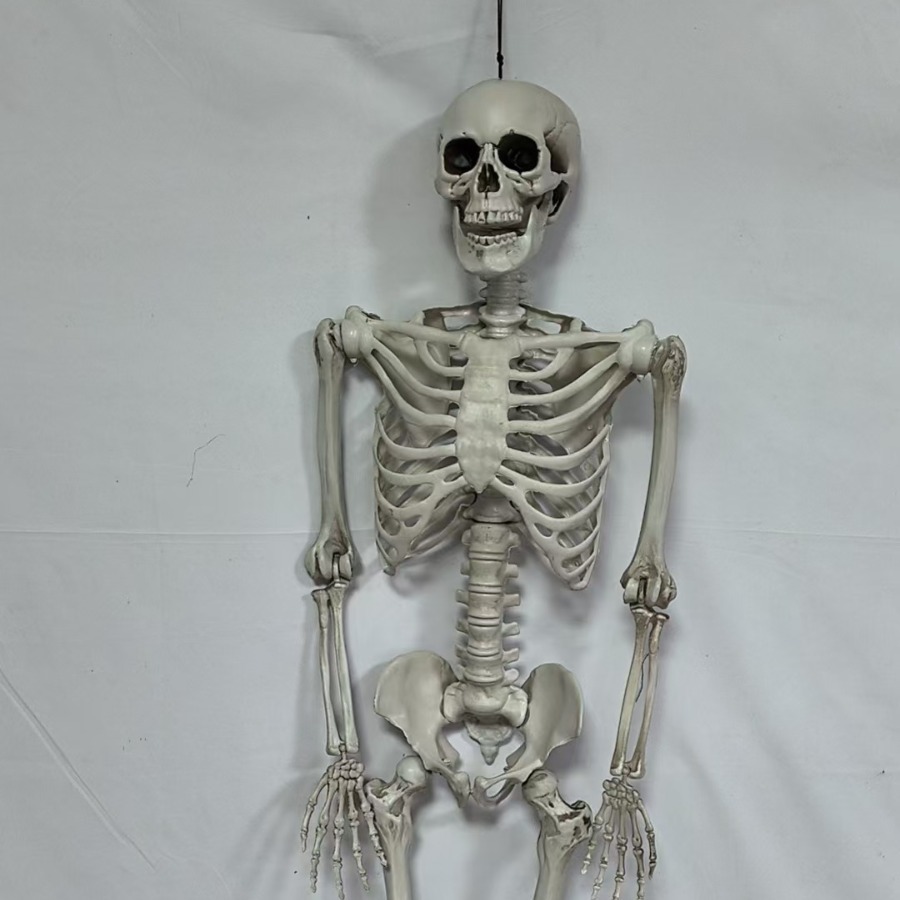 2024-09-03 09:34:47.jpg