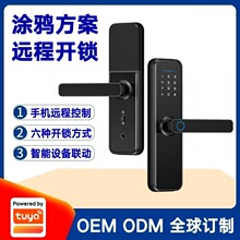 涂鸦方案智能Wifi指纹锁防盗门木门密码锁手机远程遥控磁卡智能锁