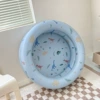Fun Blue Dinosaur Pool