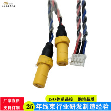 �~���t���O����Ӿ��Sɫ2ᘲ��^�������C�B�Ӿ��t���O���t������