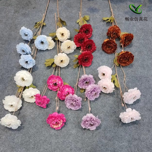 ���滨ǧ��ĵ��¶ɏ��4�^ĵ����șɏ�Q�� ��c���滨�Ļ�Y�üٻ�