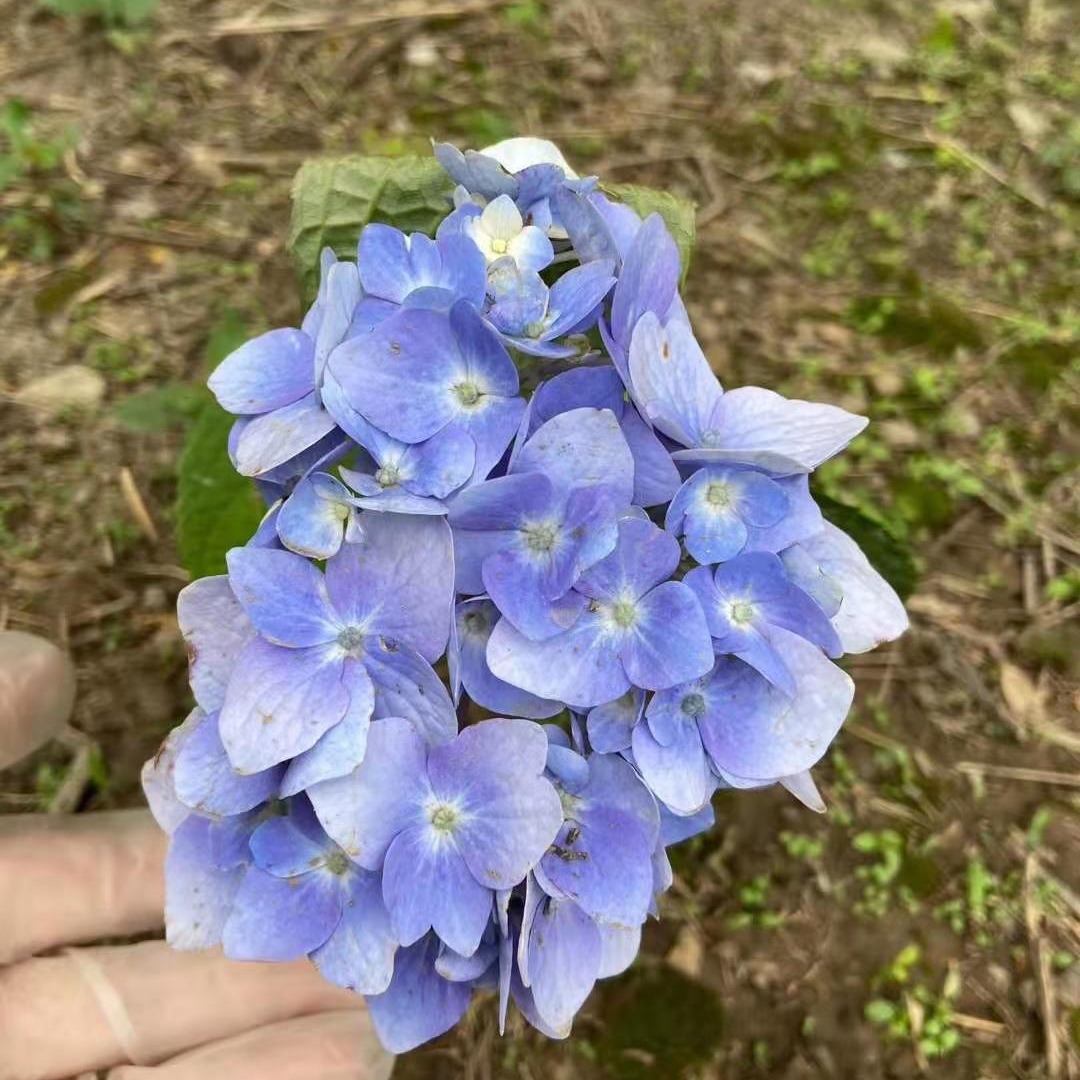 2024-03-26 11:28:08.jpg