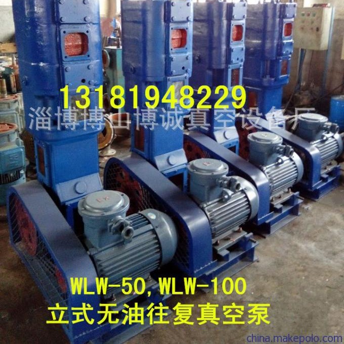 真空泵供应往复式真空泵 WLW-200.300立式往复式真空泵