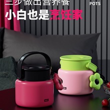 FLЧؐތW316LP䓱Ͱ