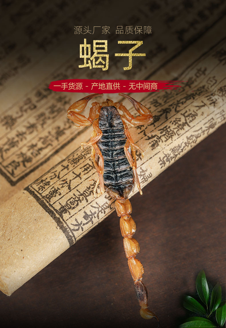 Dried Whole Scorpion Quan Xie 500g Traditional Chinese Herb for Decoction Use overview