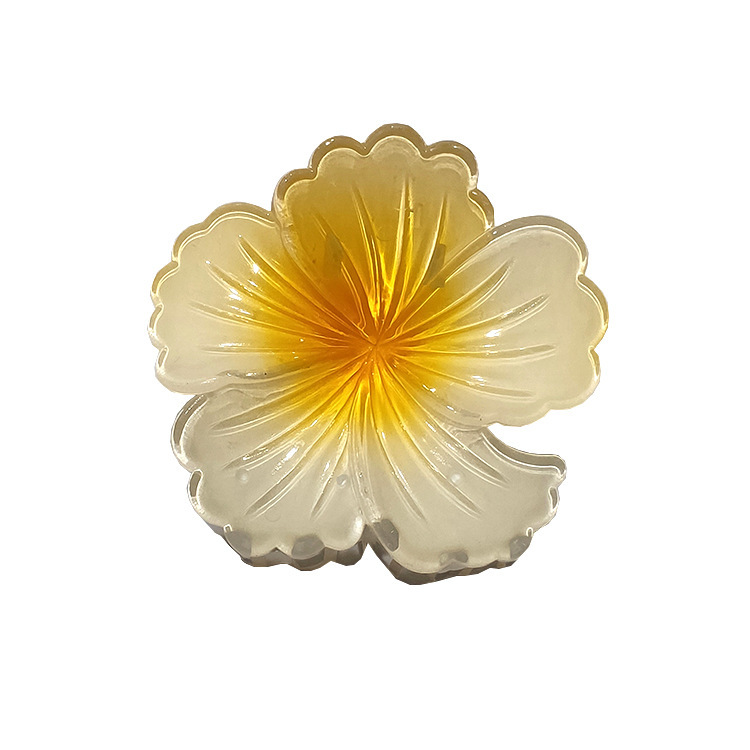 国境を越えたアマゾンの卵の花がグラデーションの花のキャンディー色の紫荊花の後頭部をつかんでサメの花を挟んで髪を伸ばします。|undefined