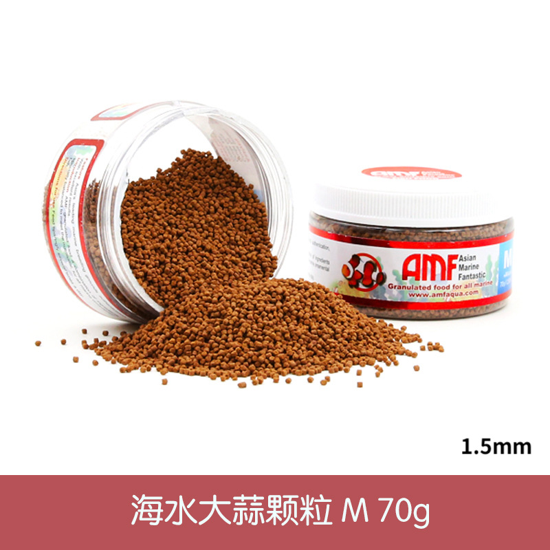 C 6-海水ニンニク70g 1.4-1.6mm (m号)