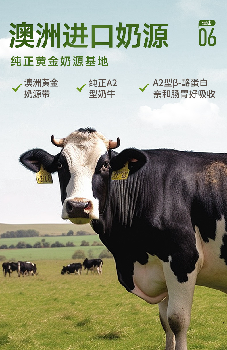 新磨牙棒详情_07