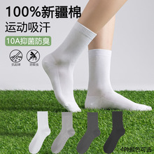 10A抗菌男士纯棉袜子男款夏季薄款网眼透气防臭运动棉袜 厂家直销