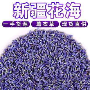 �½�����޹�²ݸɻ������l�»�������^����ɽM��