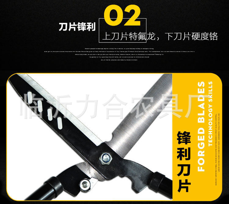 详情-5.jpg?x-oss-process=image/format,png