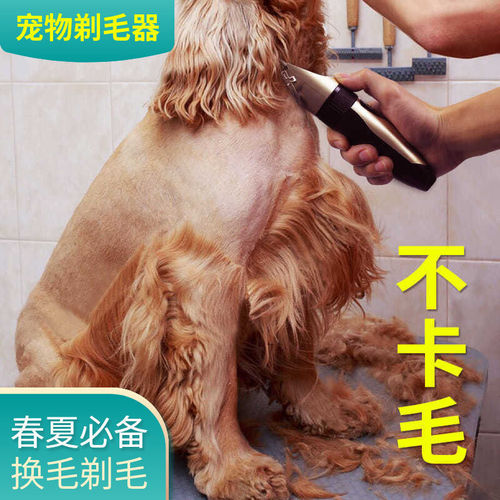 Dog shaver, pet electric clipper, Teddy cat shaver, professional electric clipper for hair trimming and foot hair trimming