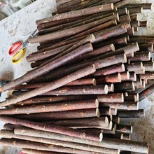 DIY实木树枝 树干带皮树枝棒 材料木条干树枝装饰烘干木条圆木棒