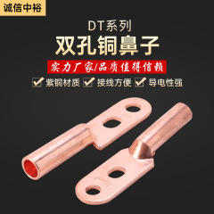 メーカー直販銅鼻銅管端子双孔銅鼻DTGS-50双孔銅端子