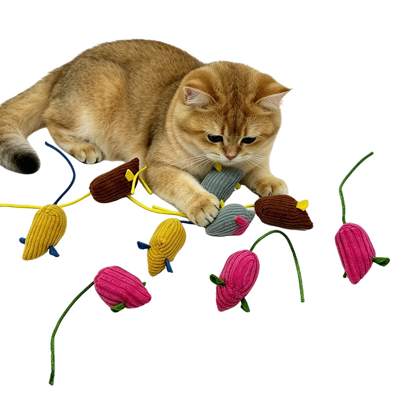 hmqViviiyNSAyin+WueWtz8ktZ/tqqX+6ebX