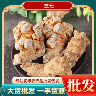 ����������l���߷������^����β �������l���lҎ���Rȫ�ɴ����