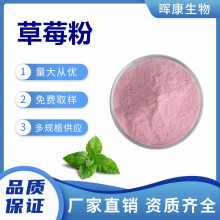 草莓粉 草莓果粉 草莓汁粉 SC工厂 现货供应 量大从优提取物