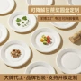 定制一次性加厚可降解餐盘