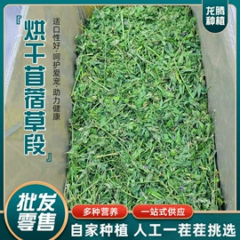 兔子主粮;鸟食;其他小宠用品