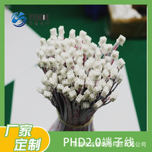 ���Ӿ���PHD2.0����HY���Ӽt���Ŷ��Ӿ�