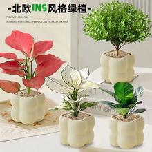 �Gֲ�����k���ҿ͏d�������Ԕ[�����s����W�t���W�Gֲins녶���