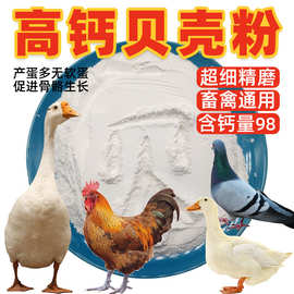 厂家供应贝壳粉1250目养殖饲料高钙贝壳粉涂料用高白度煅烧贝壳粉