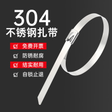 304���P��������i݆���������������~���F���z����ߏ��ȱ���