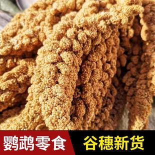 �¹�����ȻС�����W�^��ʳ���������B�Z�}��Z��϶�����쾰�b�