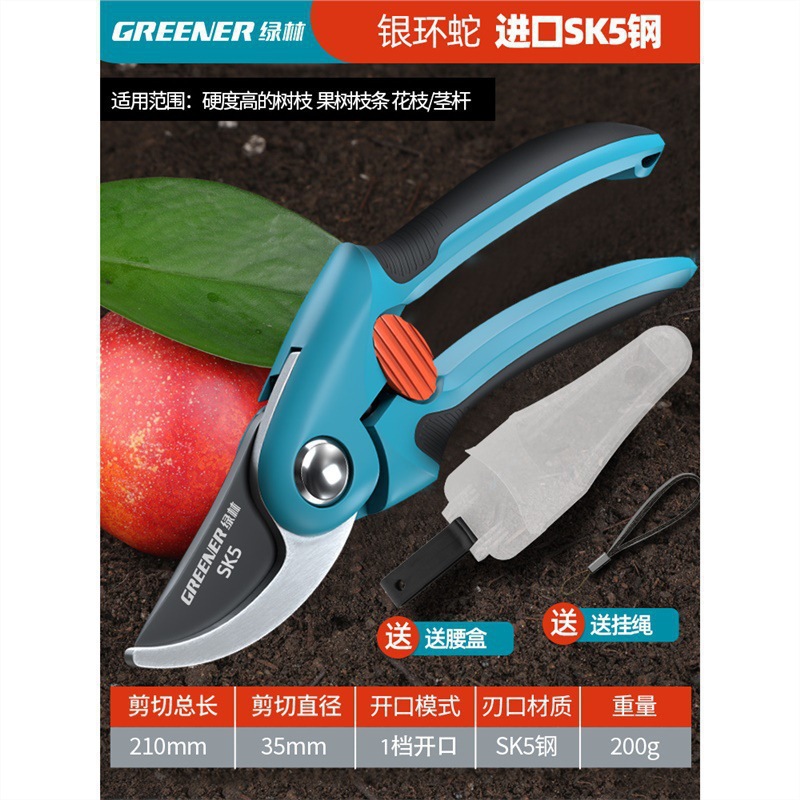 Tijeras florales Artesanía alemana Ramas de frutas Tijeras de ramas Cuchillos Tijeras de poda Bosque verde Jardinería Poda importada Envío gratis