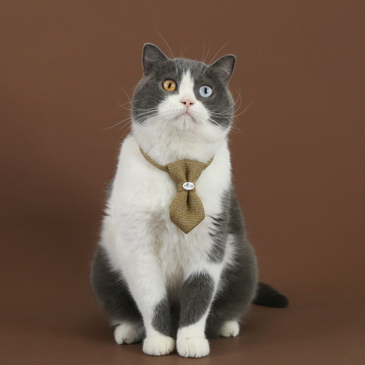 2025 mascota lino collar ajustable anti-asfixia gatito cachorro perro caballero corbata corbata arco