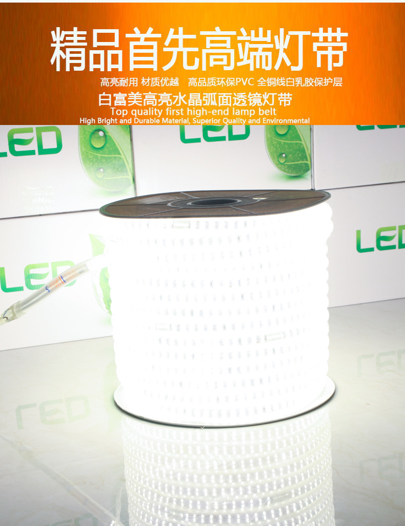 21.精品首先高端灯带.jpg