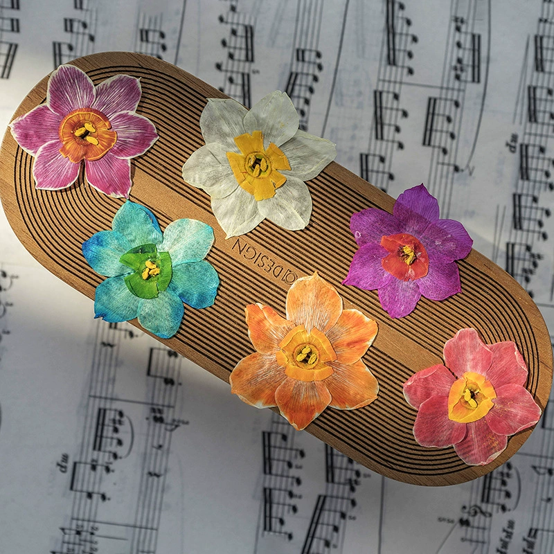 Нарцисс сушеный цветок с тиснением DIY материал ручной работы капельный клей Закладка фоторамка цветок настольная лампа настоящий цветок образец растения