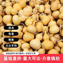 天然葫芦瑕疵品批发手捻文玩小葫芦摆摊手工雕刻练习材料基地直供