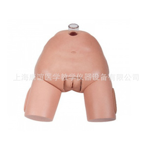 Kay-H29F Advanced Female Bladder Puncture Model Male and Female Bladder Puncture Training Model