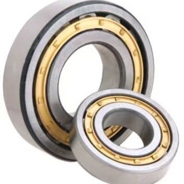 SKF轴承N318ECN/C3轴承