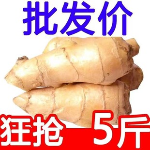 �L�ɽ����^��ɽ�|�L�ɽ����l�ô󽪽��ͽ���