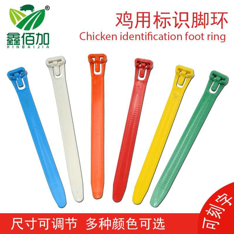 鸡脚环 可调节家禽脚环 扎带鸡鸭鹅脚环 带编号鸡用记号圈标识环