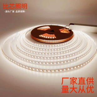 Ding 2835 Low Voltage Bare Board Indoor Mainless Smart Lighting Led Self-Adhesive Light Strip 120 Beads Wardrobe Line Light Wholesale