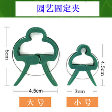 ֲ��@ˇ�A�ӻ��̶ܹ�ֲ��@�֊A�����b/�@ˇ�A��/���Ϸ���ֲ��A