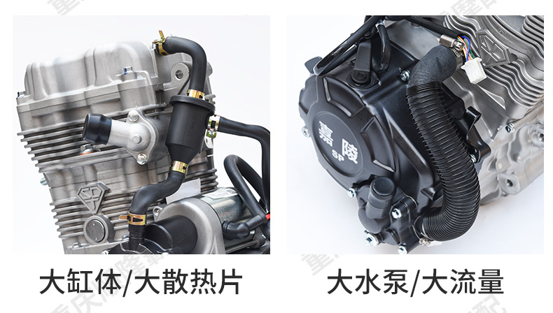 Jialing Brand Three-Wheel Motorcycle Engine Xuanjian 210 260 300 Water-Cooled Engine Brand New Original Engine