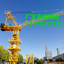 出口集装箱QTD80动臂塔机 内爬动臂塔机 5013动臂吊 6吨动臂塔吊