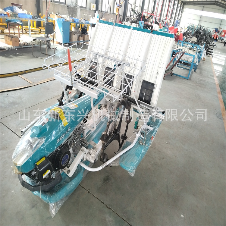 4行6行新款水稻插秧机 手扶式水稻秧苗种植机 水田用栽秧育苗机