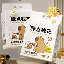 豚点钱花云感洁面柔巾160抽加厚款底部抽取悬挂式潮小喵商超同款