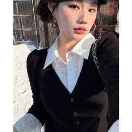 山力达迪法式假两件衬衫女装秋季高级感衬衣遮肉